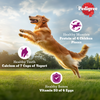Pedigree Chicken Biryani Flavour Adult Dog Dry Food Dogs- Dry Food Pedigree