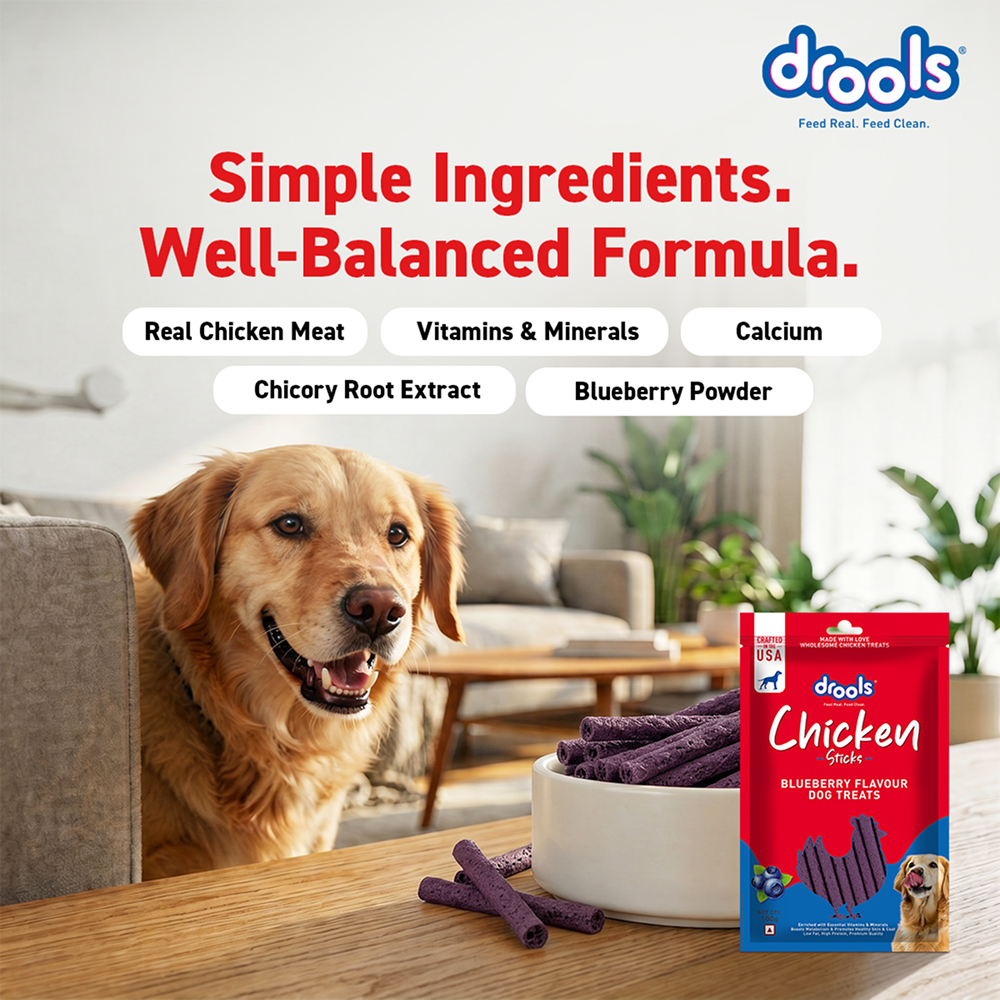 Drools Blueberry Flavour Chicken Sticks Treat for Dogs Dog Treats + Others Drools