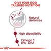 Royal Canin Medium Adult Dog Dry and Wet Food Combo Exclusive Combo Royal Canin