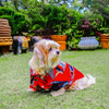 Woofiezz Statement Shirt for Dogs and Cats (Red/Black) Both-Clothing & Accessories Woofiezz Dropship