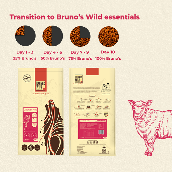 Bruno&