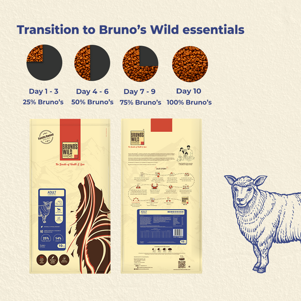 Bruno&