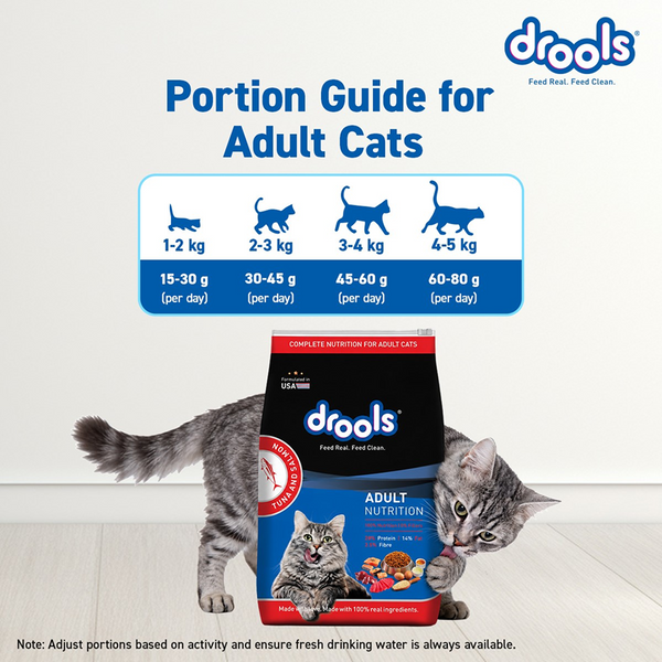 Drools Tuna & Salmon Adult Dry Cat Food