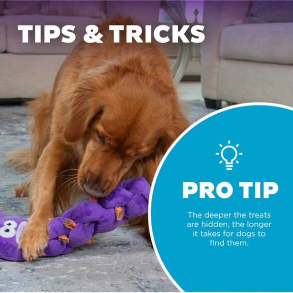 Outward Hound Twistiez Unicorn Toy for Dogs (Purple)