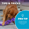 Outward Hound Twistiez Unicorn Toy for Dogs (Purple) Dogs-Toys Outward Hound