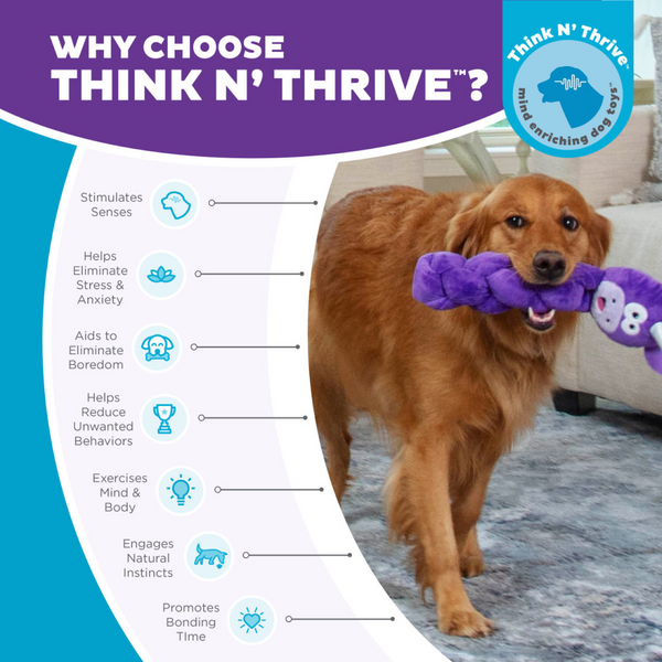 Outward Hound Twistiez Unicorn Toy for Dogs (Purple)