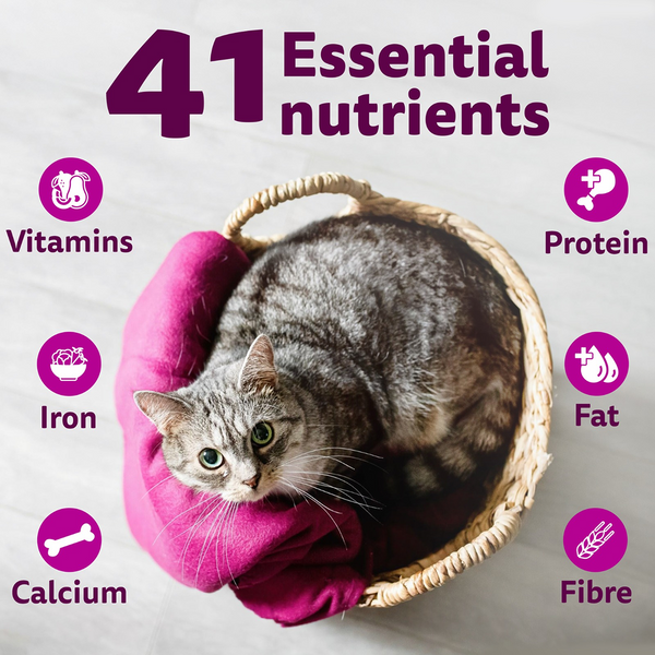Whiskas Ocean Fish Flavour Adult Cat Dry Food