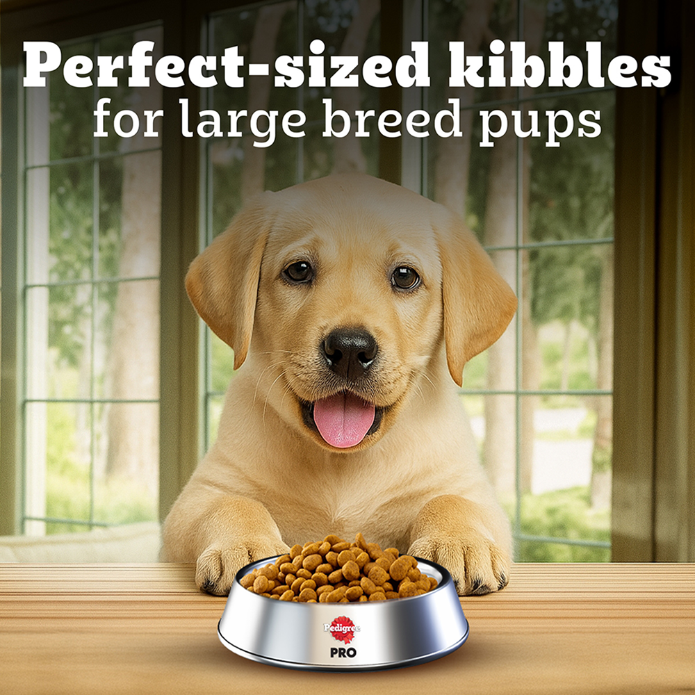 Pedigree PRO Expert Nutrition for Large Breed Puppy(3 to 18 Months) Dry Food Dogs- Dry Food Pedigree PRO