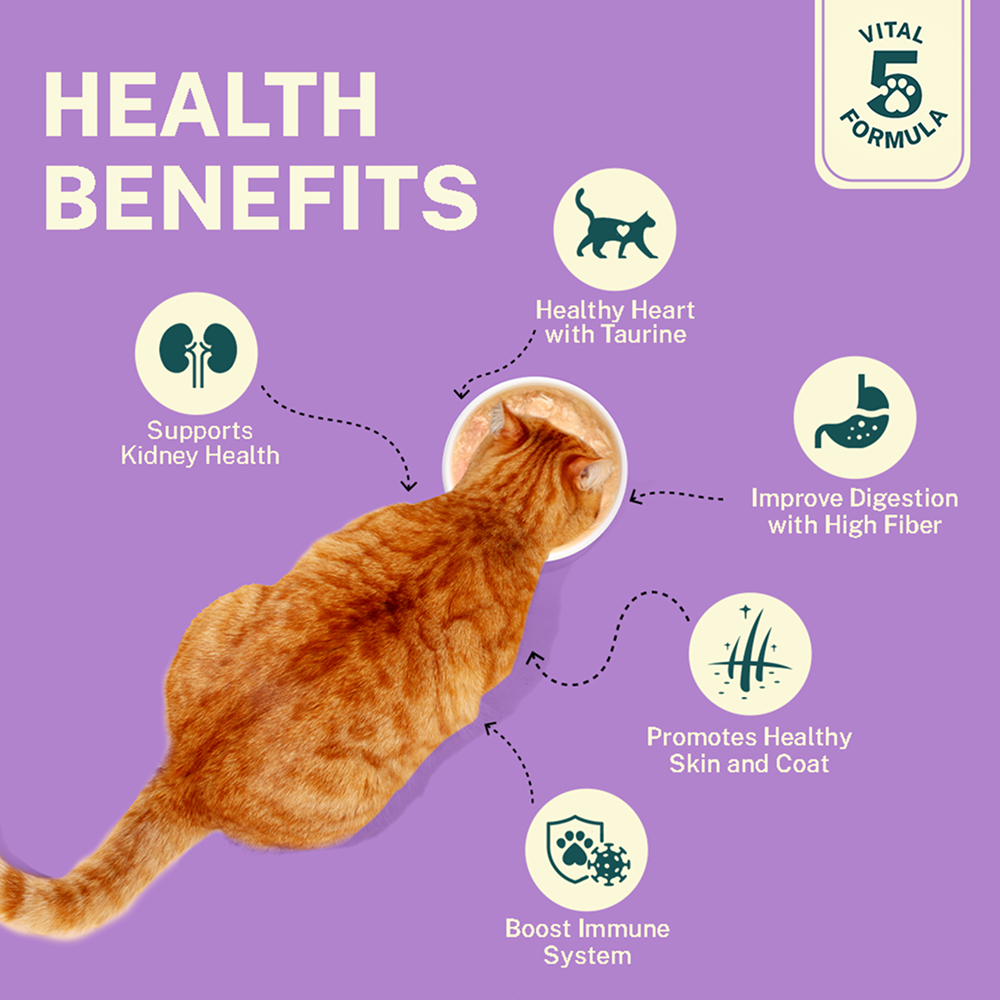 Smylo Chicken, Liver and Pomergranate Fresh and No Preservative Kitten Cat Wet Food Cats-Wet Food Smylo