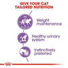 Royal Canin Sterilised/Neutered Gravy Adult Cat Wet Food Cats-Wet Food Royal Canin
