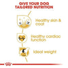 Royal Canin Golden Retriever Adult Dog Dry Food Dogs- Dry Food Royal Canin