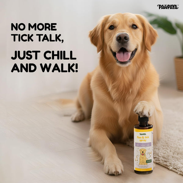 Pawpaya  Flea and Tick Spray for Dogs and Cats