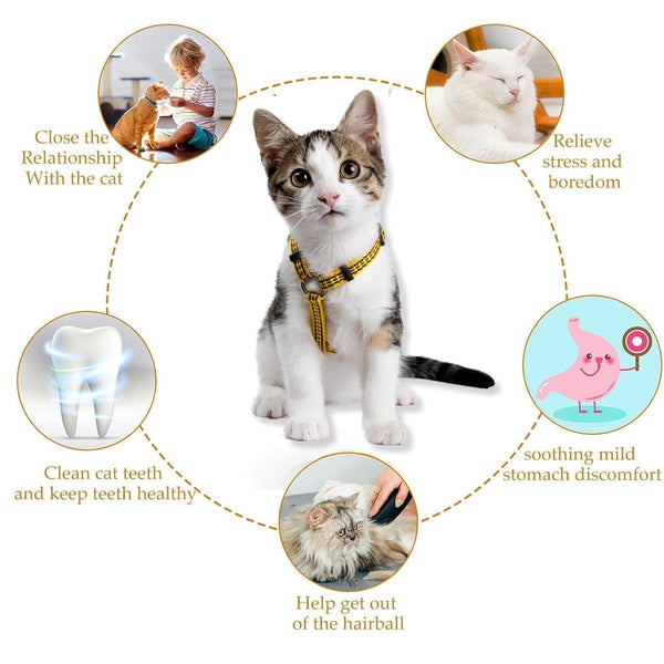 Skatrs Catnip Lollipop Natural Wooden Teeth Cleaning Toy for Cats and Kittens