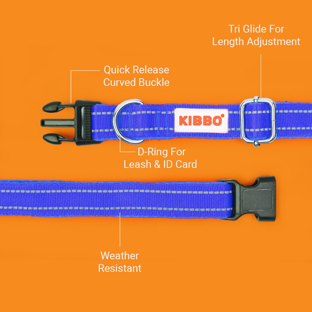 Kibbo Premium Reflective Padded With Soft Mesh Padding & Adjustable Design Collar for Dogs (Blue) Dogs-Collar, Leashes, harnesses Kibbo