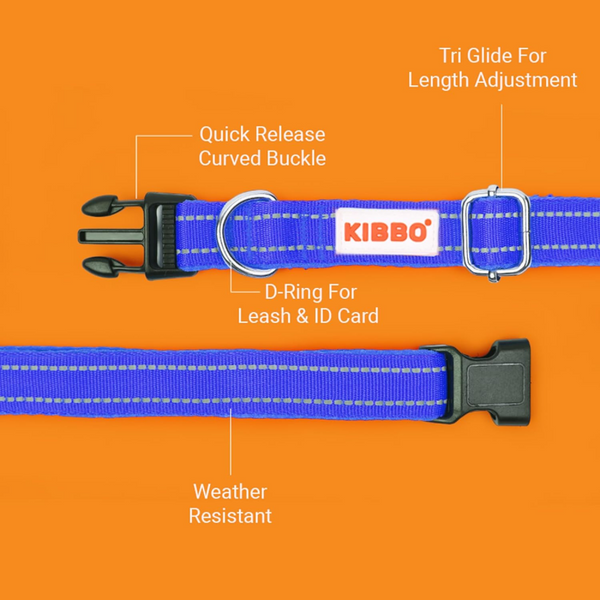 Kibbo Premium Reflective Padded With Soft Mesh Padding & Adjustable Design Collar for Dogs (Blue)