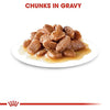 Royal Canin Instinctive and Sterilised/Neutered Gravy Adult Cat Wet Food Combo Cats-Wet Food Royal Canin
