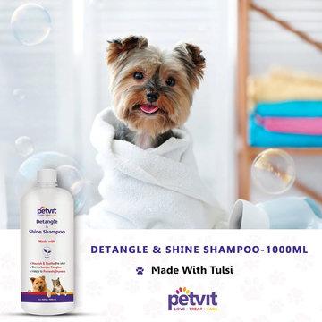 Petvit Detangle & Shine Pet Shampoo for Dogs and Cats