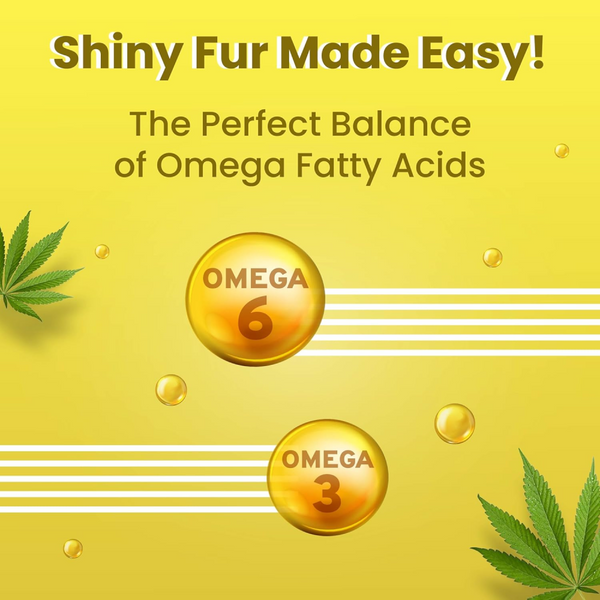 Bark Out Loud Skin & Coat Hemp and Immunity Multi Vitamin Chew Stix for Dogs and Cats Combo