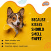 Novee Mini Dental Care Stick Treats for Dogs Dog Treats + Others Novee