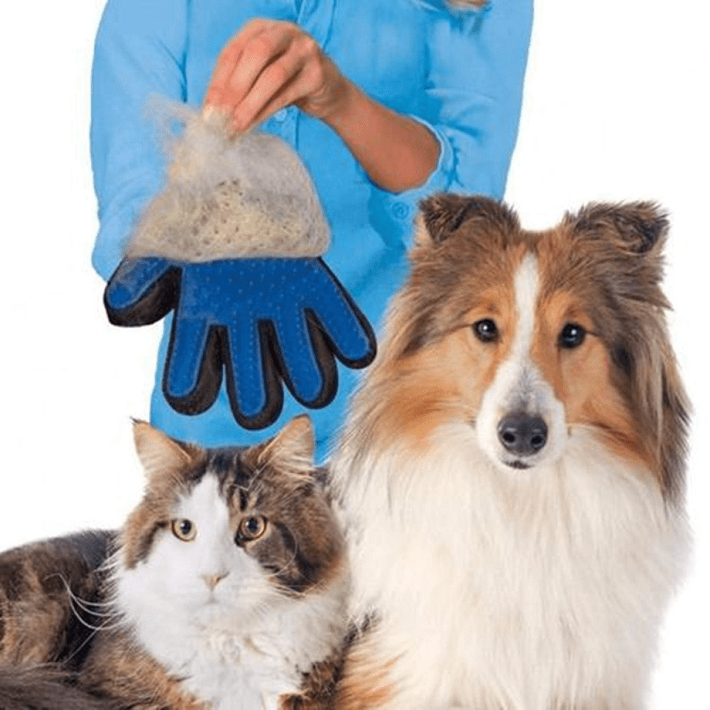 Kiki N Pooch True Touch Grooming Gloves for Dogs and Cats (Orange)