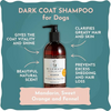 WildWash Shampoo For Dark or Greasy coats for Dogs and Cats Both-Grooming Supplies WildWash Dropship