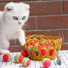 KUTKUT Foam Balls for Cats (Rainbow) Cats-Toys KUTKUT Dropship