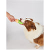 Fofos Ice Lolly Shaped Cooling Toy for Dogs (Green) Dogs-Toys FOFOS