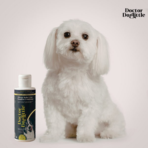 Doctor Doglittle Probiotic Allergy Relief 2 in 1 Shampoo Conditioner for Dogs