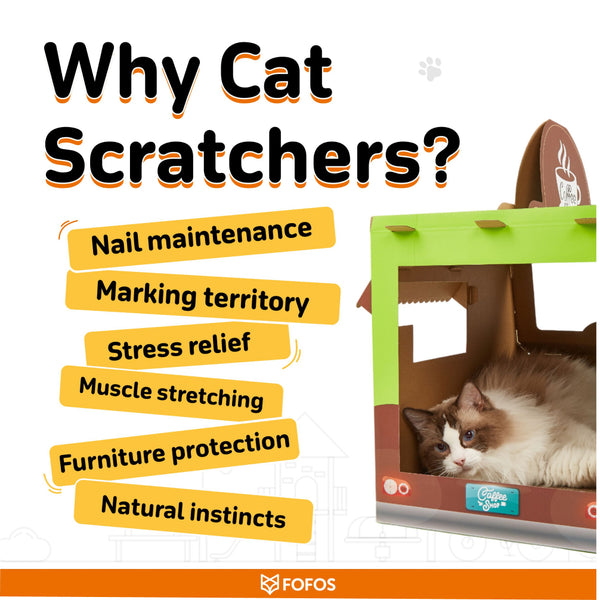 Fofos Coffee Bus Scratcher for Cats