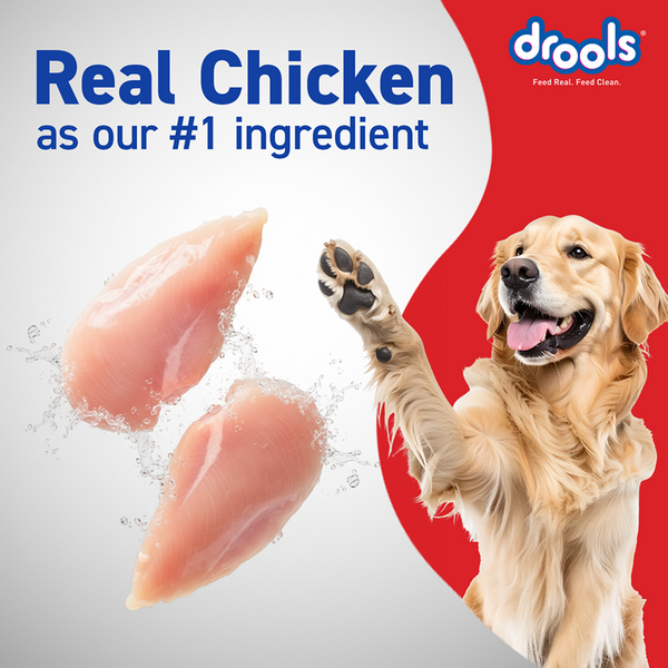 Drools Optimum Performance Adult Dog Dry Food