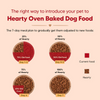 HUFT Hearty Oven Baked Chicken & Duck with Brown Rice Adult Dog Dry Food Dogs- Dry Food Heads Up for Tails