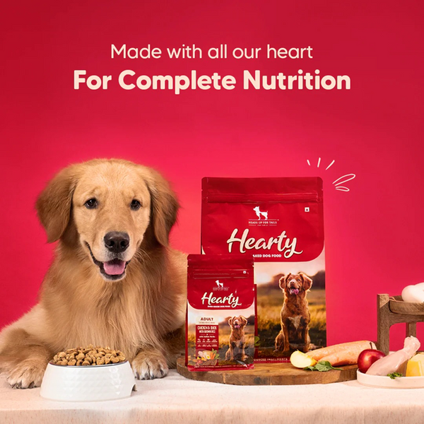 HUFT Hearty Oven Baked Chicken & Duck with Brown Rice Adult Dog Dry Food