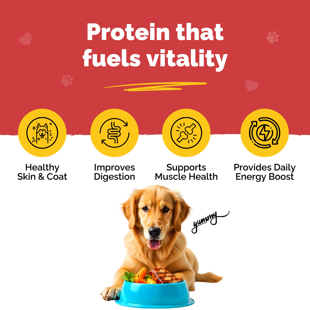 PetStrong Chicken and Rice Fresh Food and 2.2  Meal Protein Booster for Dogs Combo