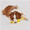 Fofos Cheese Shaped Chew Rope Toy for Dogs Dogs-Toys FOFOS