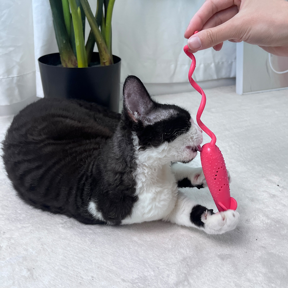 GiGwi Roll Tailed Mouse Toy for Cats (Pink) Cats-Toys GiGwi