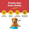 PetStrong 2.2 Meal Protein Booster for Dogs (10g) Sample PetStrong