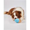 Fofos Ice Cream Shaped Cooling Toy for Dogs (Blue) Dogs-Toys FOFOS