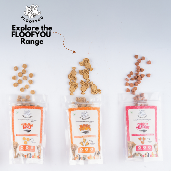 FloofYou Oven Baked Coriander Flavoured Small Animal Treats