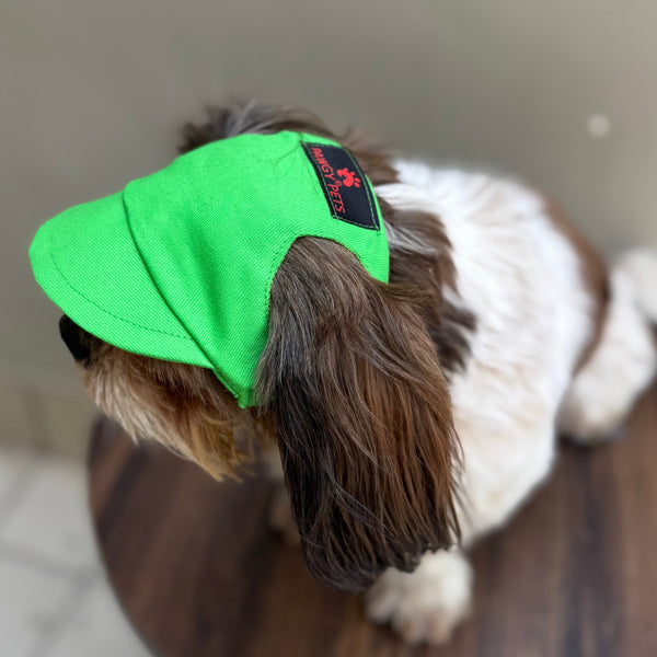 Pawgypets Cap and Bandana Set for Dogs and Cats (Lime Green)
