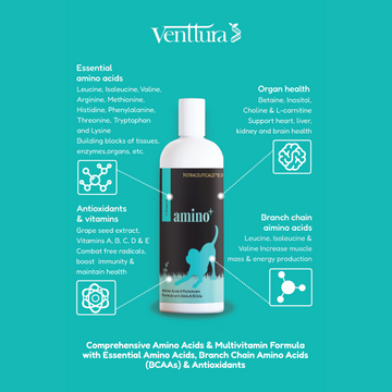 Venttura Amino Plus Syrup for Dogs