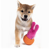 Joyser Woball Rabbit for Dogs (Pink/Orange) Dogs-Toys Joyser