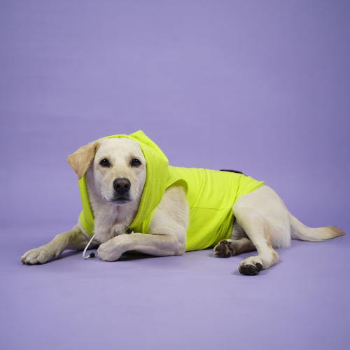 Skatrs Galaxy Breezy Hoodies with Pockets for Dogs and Cats (Green)