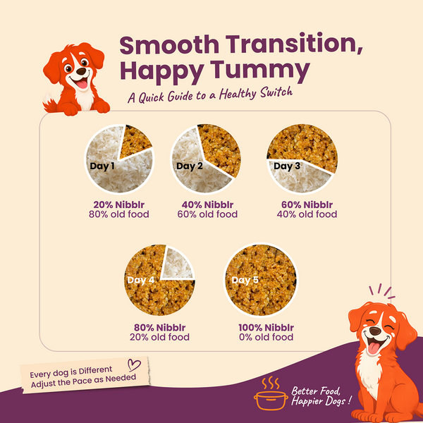 Nootie Nibblr Fresh Wholesome Ready to Eat Meal Daily Chicken Liver Beetroot & Rice Dog Wet Food