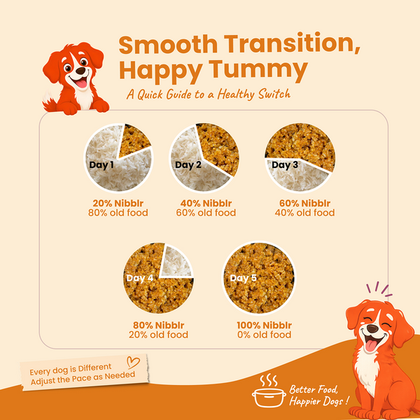 Nootie Nibblr Fresh Wholesome Ready to Eat Meal Daily Chicken Liver with Pumpkin Dog Wet Food