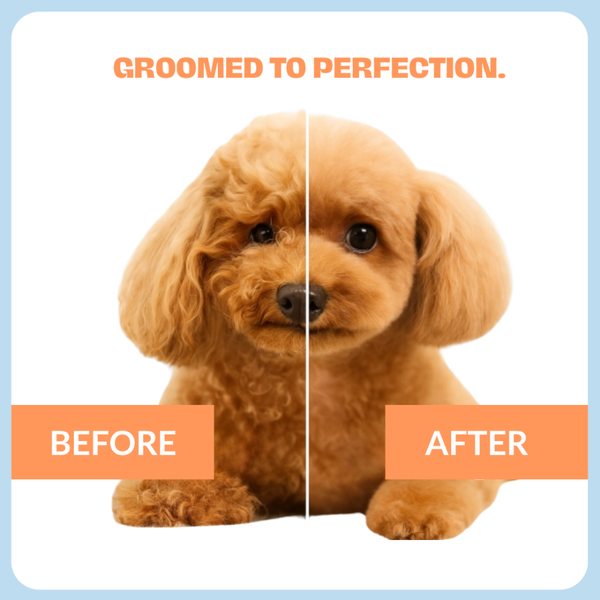 Pupr Deep Cleansing Strawberry Flavoured Shampoo for Dogs