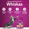 Whiskas Rohu Fish Flavour Adult Cat Dry Food Cats- Dry food Whiskas