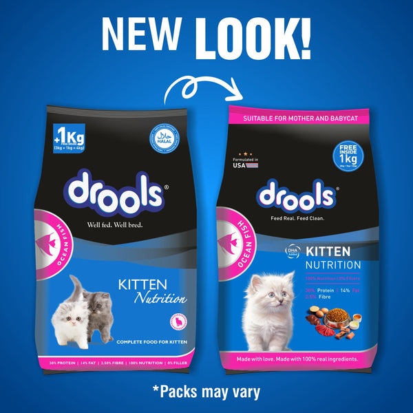 Drools Ocean Fish Kitten Cat Dry Food