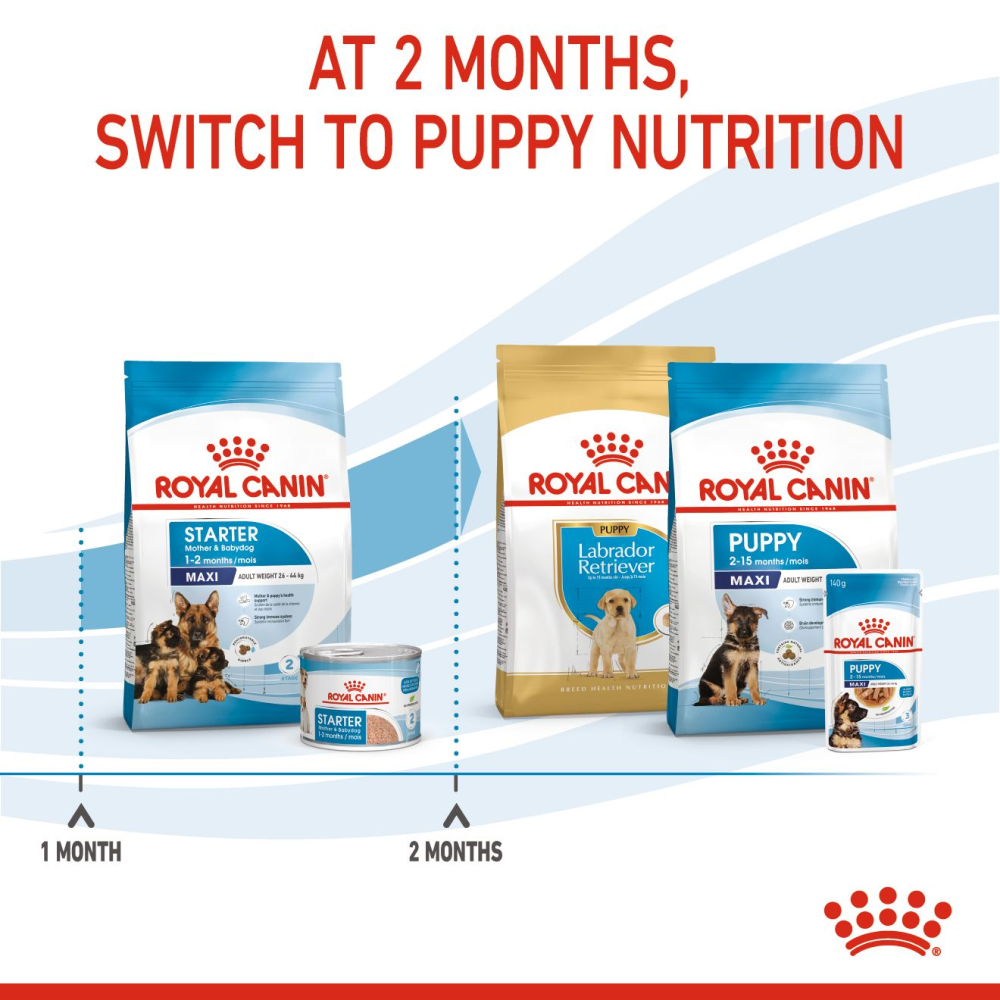 Royal Canin Maxi Starter Dry Dog Food (Get Maxi Adult Wet Food)