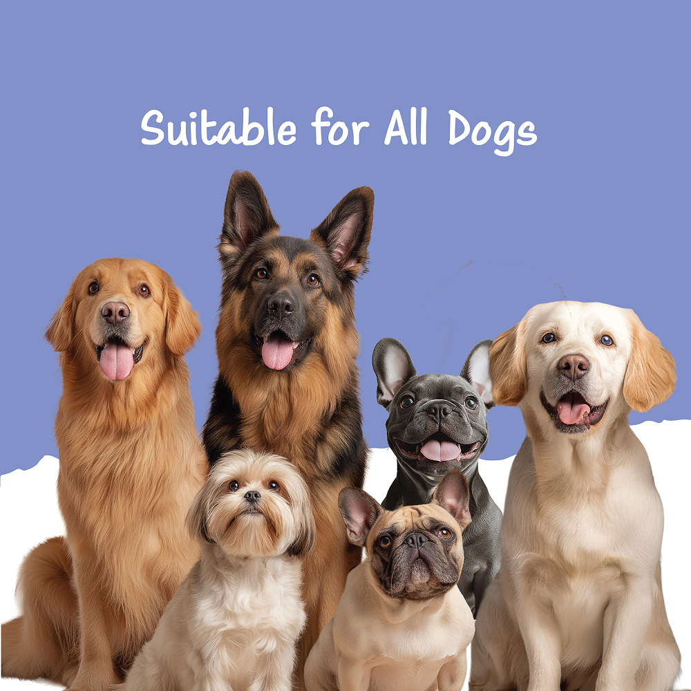 Fullr Mobility Support Soft and Chewy Stick Dog Treats Dog Treats + Others Fullr