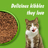 Kitekat Ocean Fish Adult Cat Dry Food Cats- Dry food Kitekat